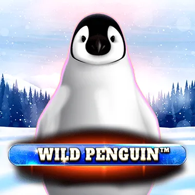 Wild Penguin